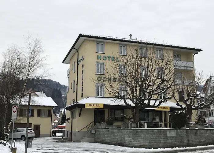 Hotel Ochsen 3*