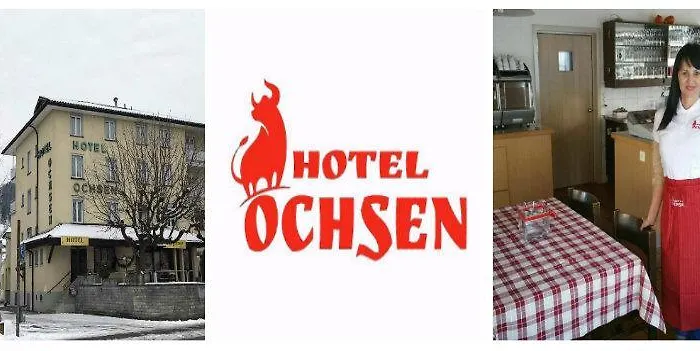 Hotel Ochsen 3*